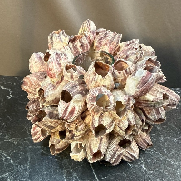 Decorative Barnacle Clusters - Purple and Cream sconces candle holders - Picture 5 of 15